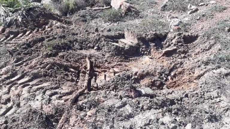 غابة اشراقة نواحي طنجة.. هل مهدت النار طريق الاستثمار ؟