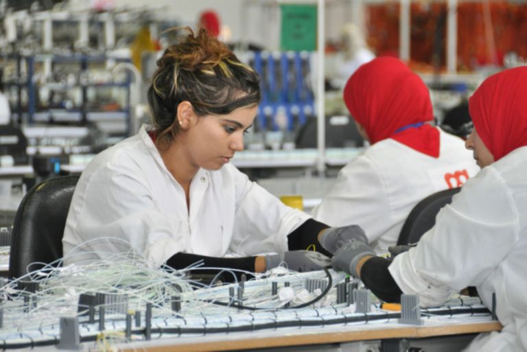 10 آلاف و845 مقاولة جديدة بجهة طنجة–تطوان–الحسيمة حتى شتنبر 2025