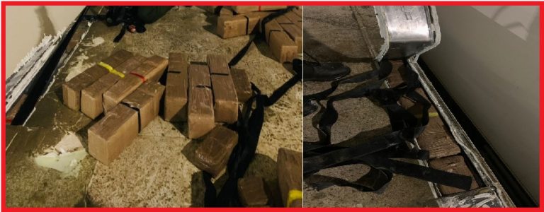 احباط تهريب 490 كيلوغراما من الشيرا داخل شحنة فواكه بميناء طنجة المتوسط