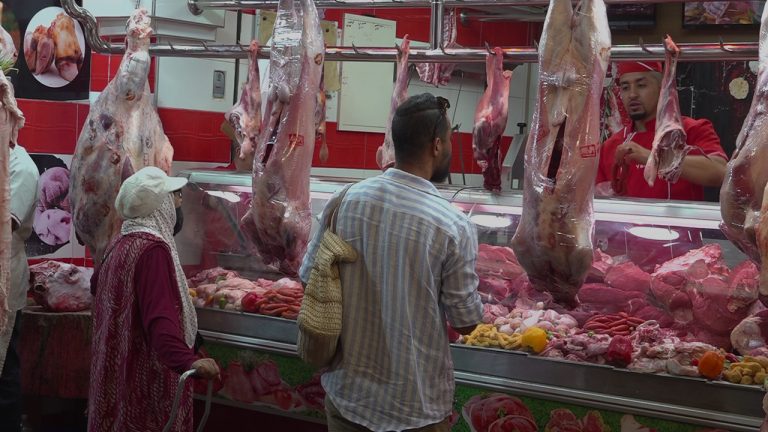 أسعار لحم الغنم في المغرب تقفز إلى 120 درهما للكيلوغرام وتثير تساؤلات في الأسواق