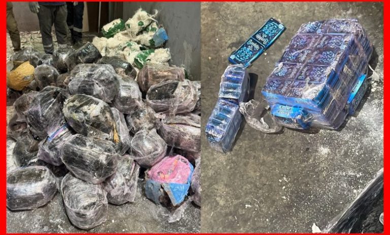 حجز 753 كيلوغراما من الشيرا داخل شاحنة للنقل الدولي بطنجة المتوسط