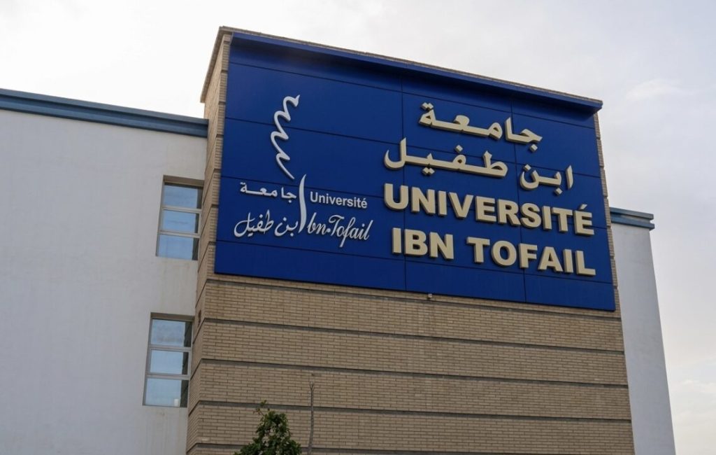IBN