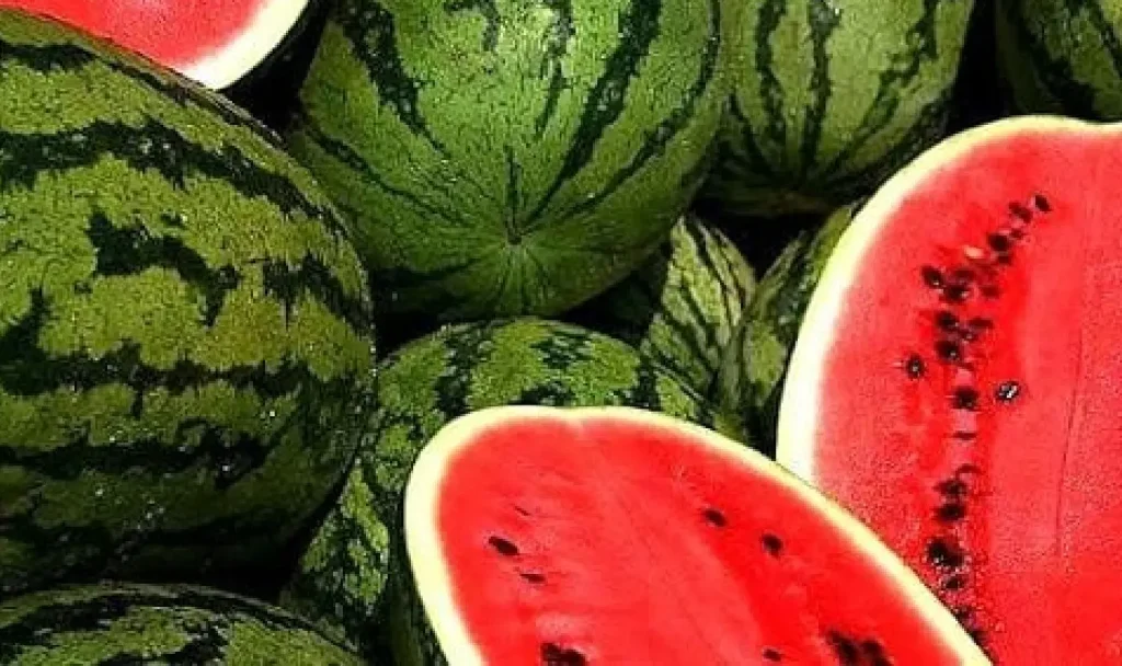 الدلاح